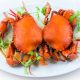 sea crabs